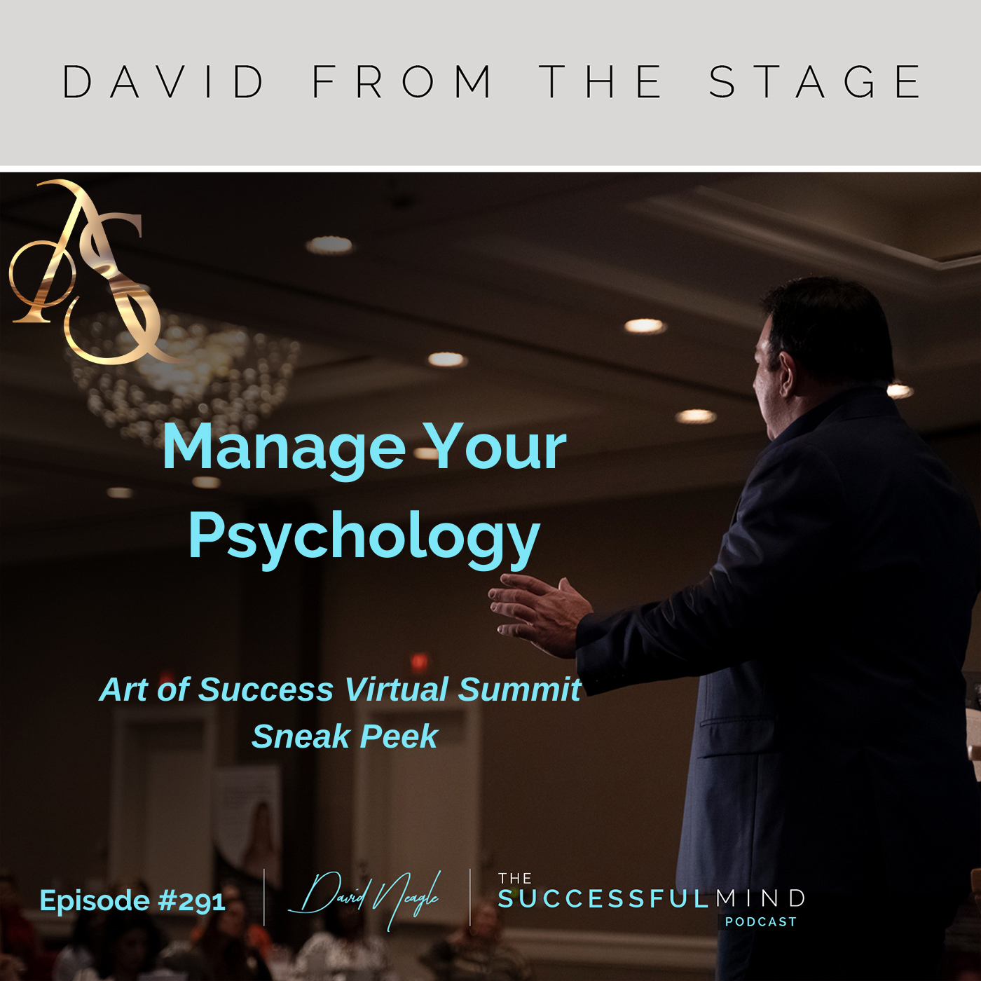 Manage Your Psychology - David From The Stage: Art of Success Virtual Summit Sneak Peek