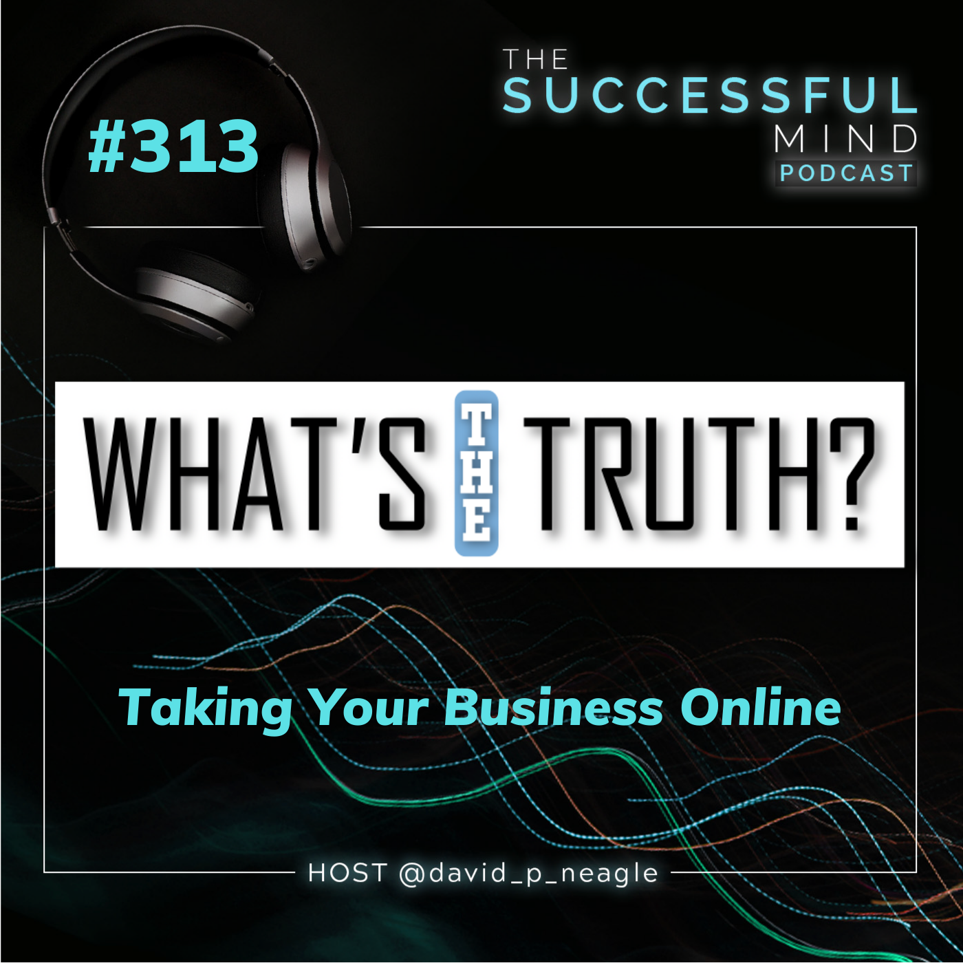 Successful Mind Podcast- What’s The Truth - Taking Your Business Online