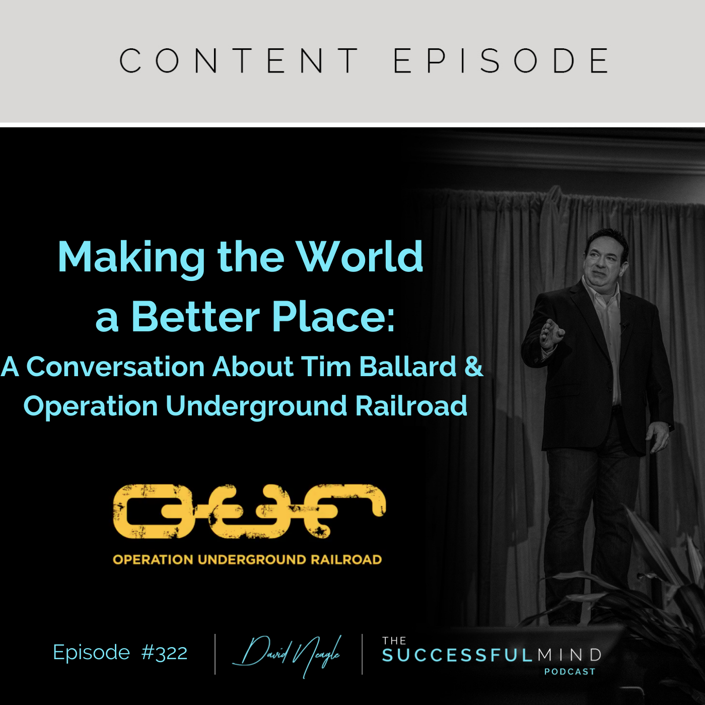 The Successful Mind Podcast -Episode 322 - Making the World a Better Place
