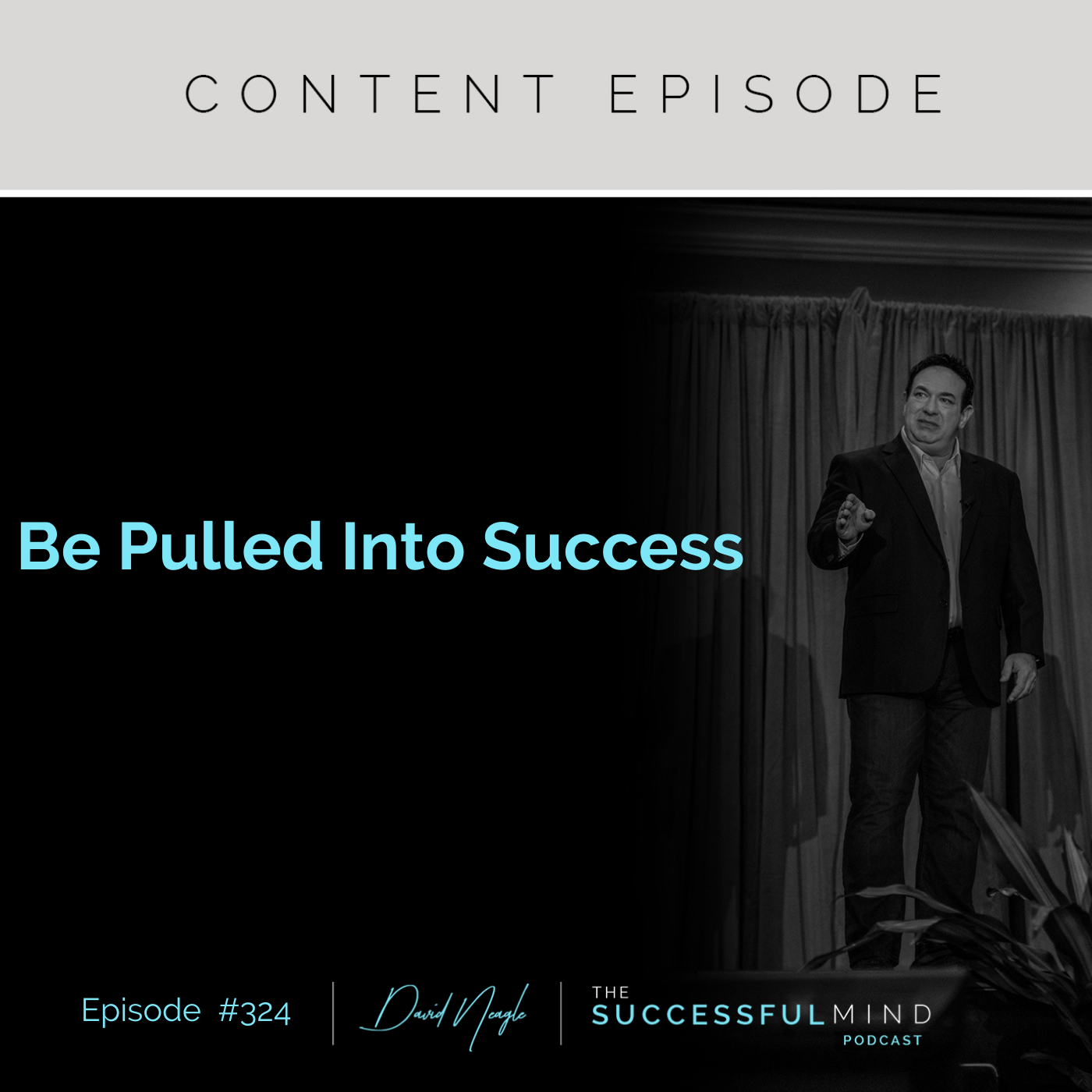 The Successful Mind Podcast - Episode 324 - Be Pulled Into Success