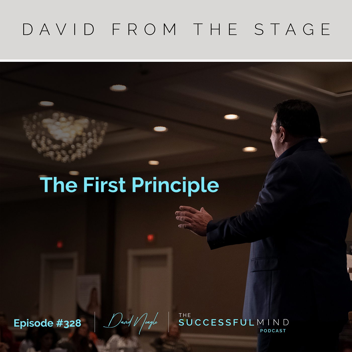 The Successful Mind Podcast - Episode 328 - The First Principle