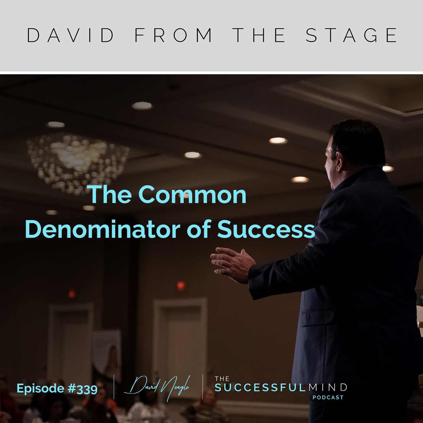 The Successful Mind Podcast - Episode 339 - The Common Denominator of Success