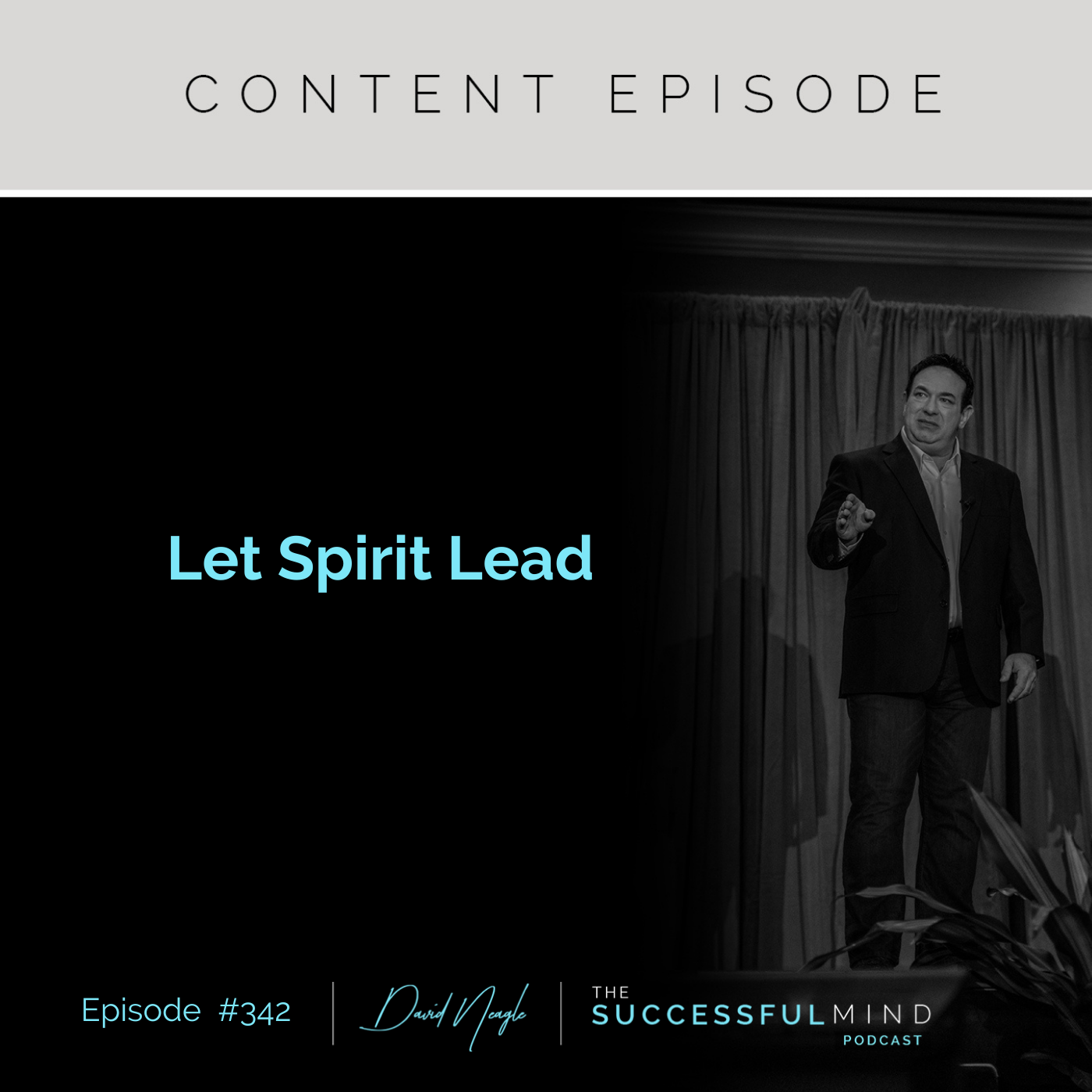 The Successful Mind Podcast - Episode 342 - Let Spirit Lead