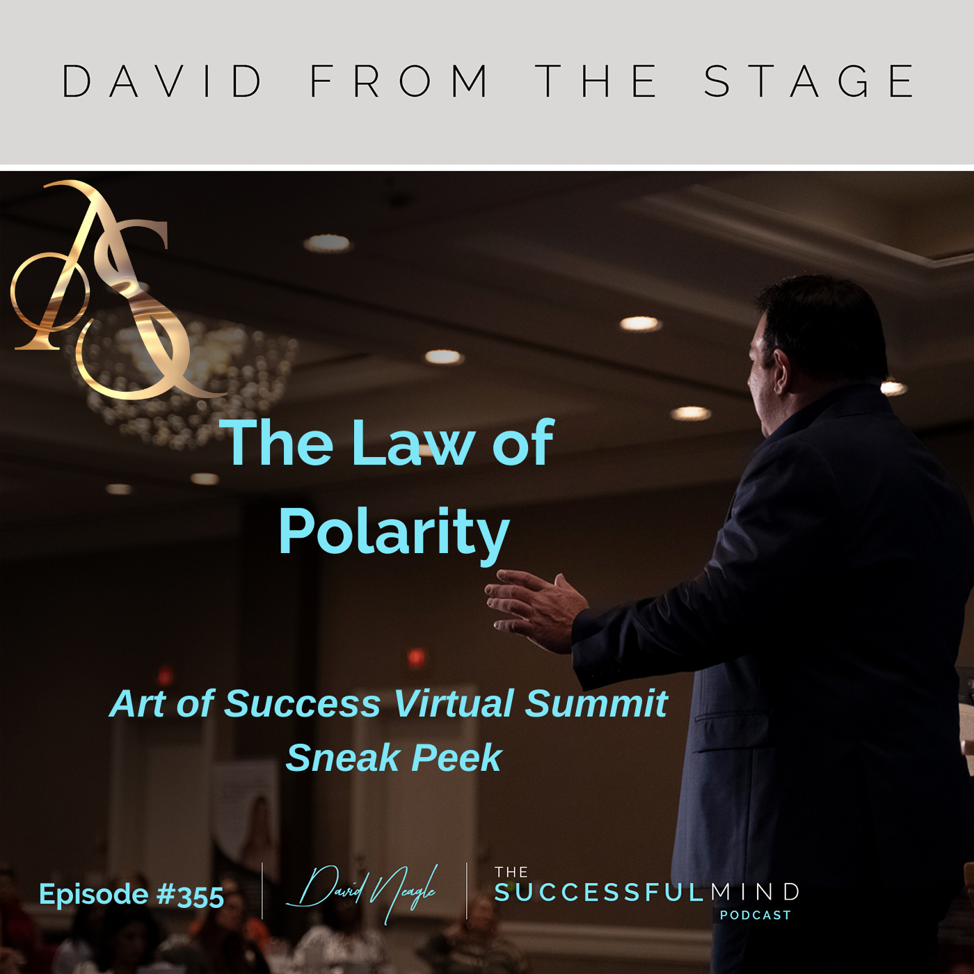 The Successful Mind Podcast - Episode 355 - AOSS Sneak Peek: The Law of Polarity