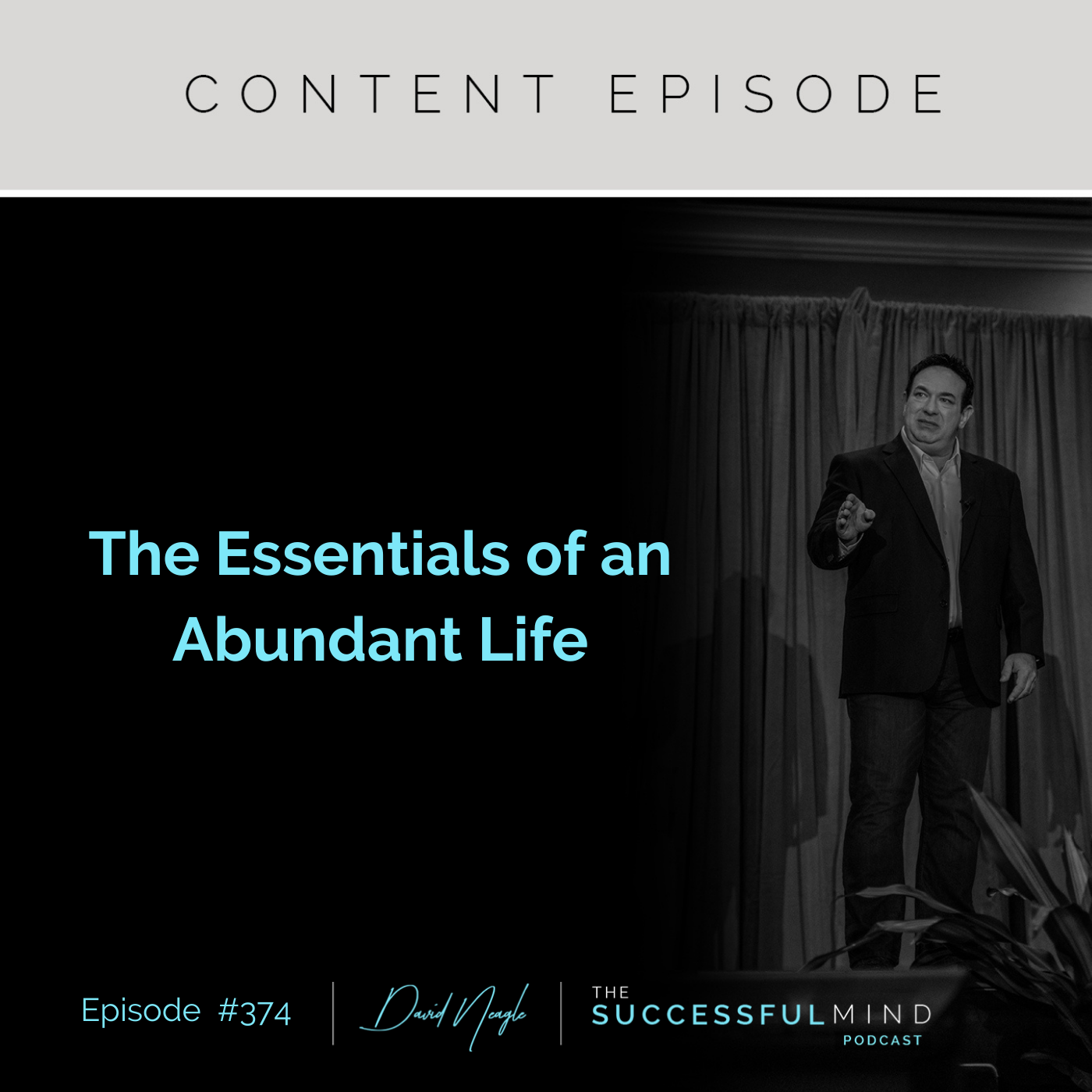 The Successful Mind Podcast - Episode 374 - The Essentials of an Abundant Life