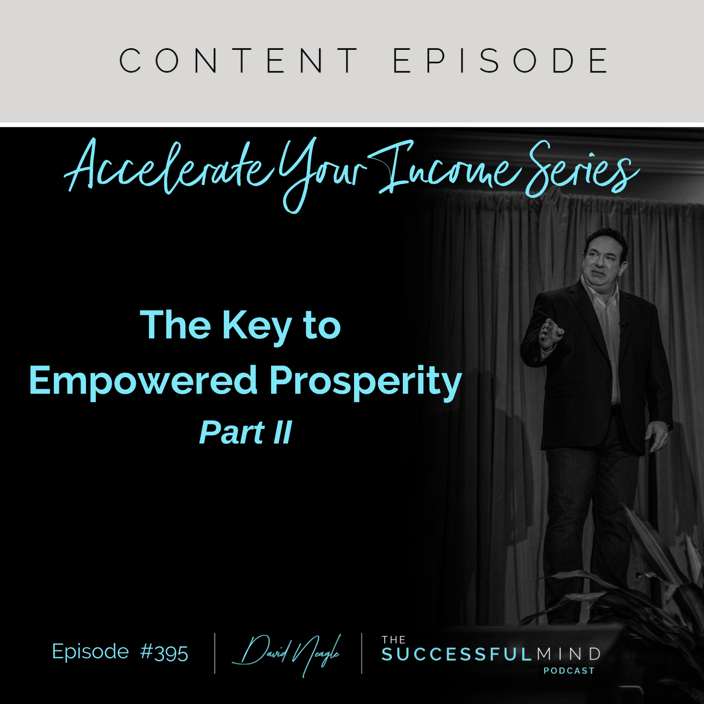 The Successful Mind Podcast - Episode 395 - Accelerate Your Income Series: The Key to Empowered Prosperity - Part II