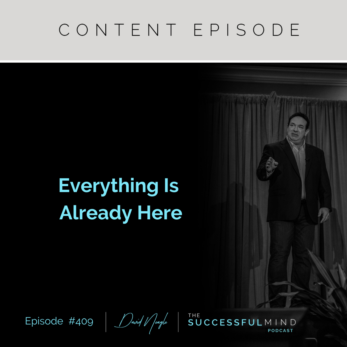 The Successful Mind Podcast - Episode 409 - Everything Is Already Here