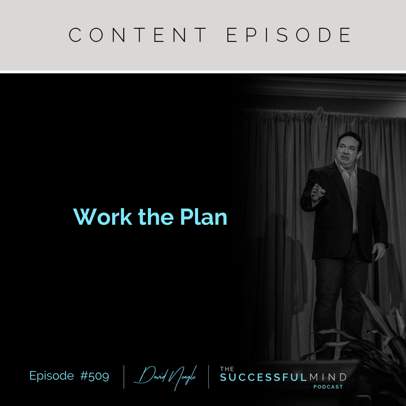 The Successful Mind Podcast - Episode 509 - Work the Plan